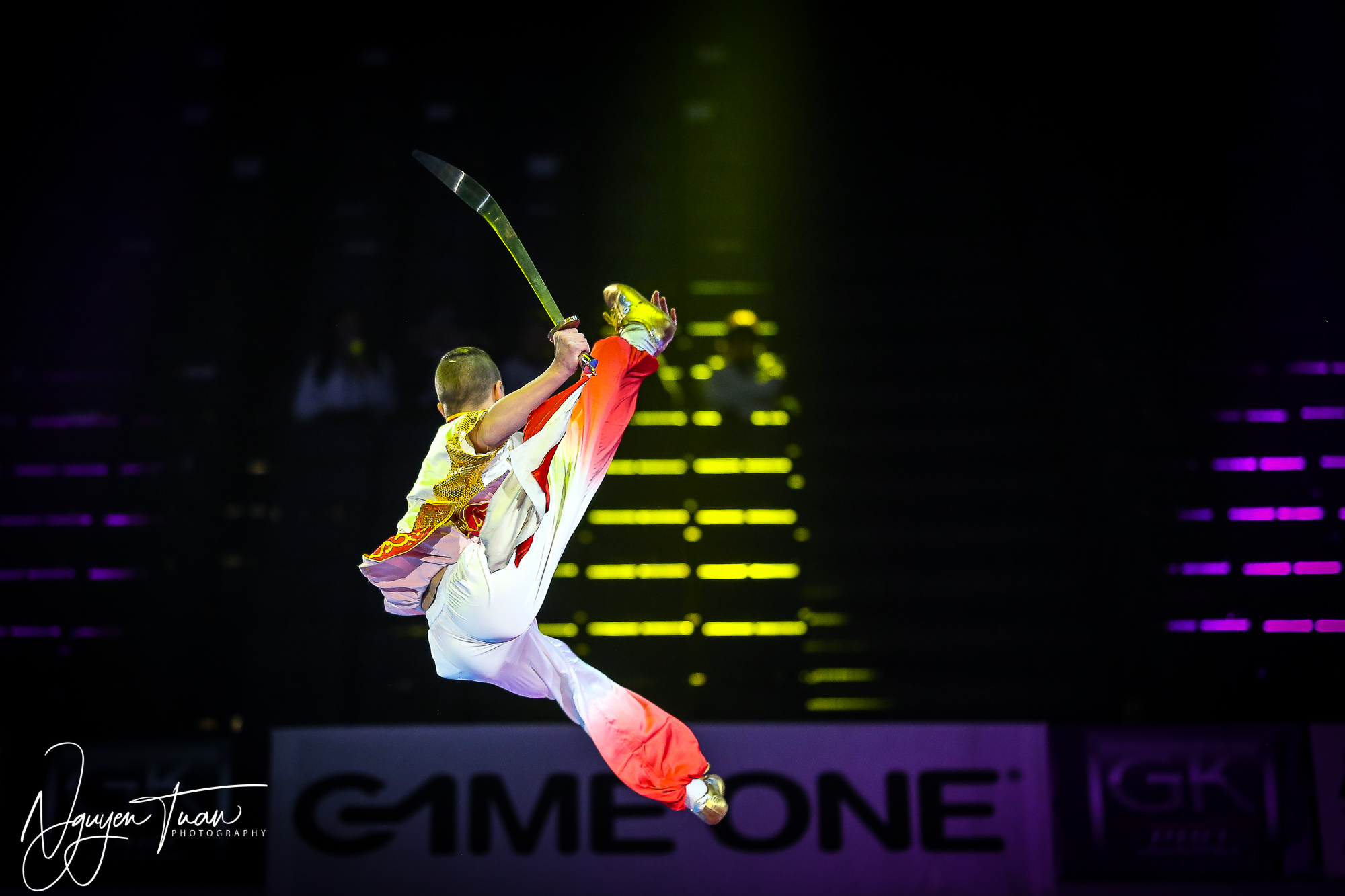 20190324 Festival des Arts Martiaux 1231